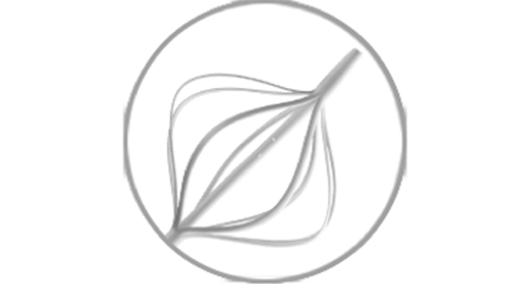 ANNOUNCING! A new divisional structure for Spectrum Plastics Group